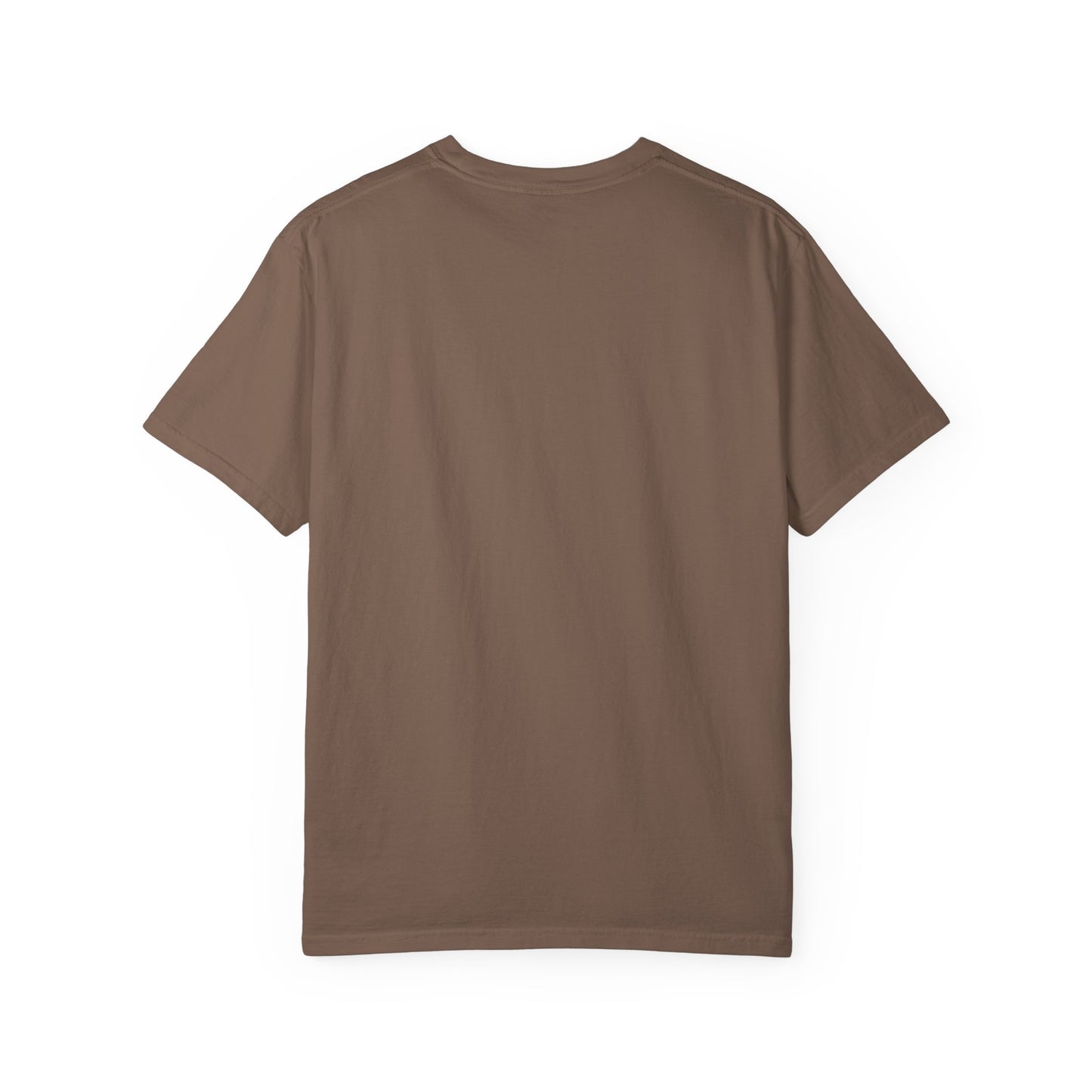 Motivational Unisex T-Shirt - 'TRY AGAIN' Garment-Dyed Tee