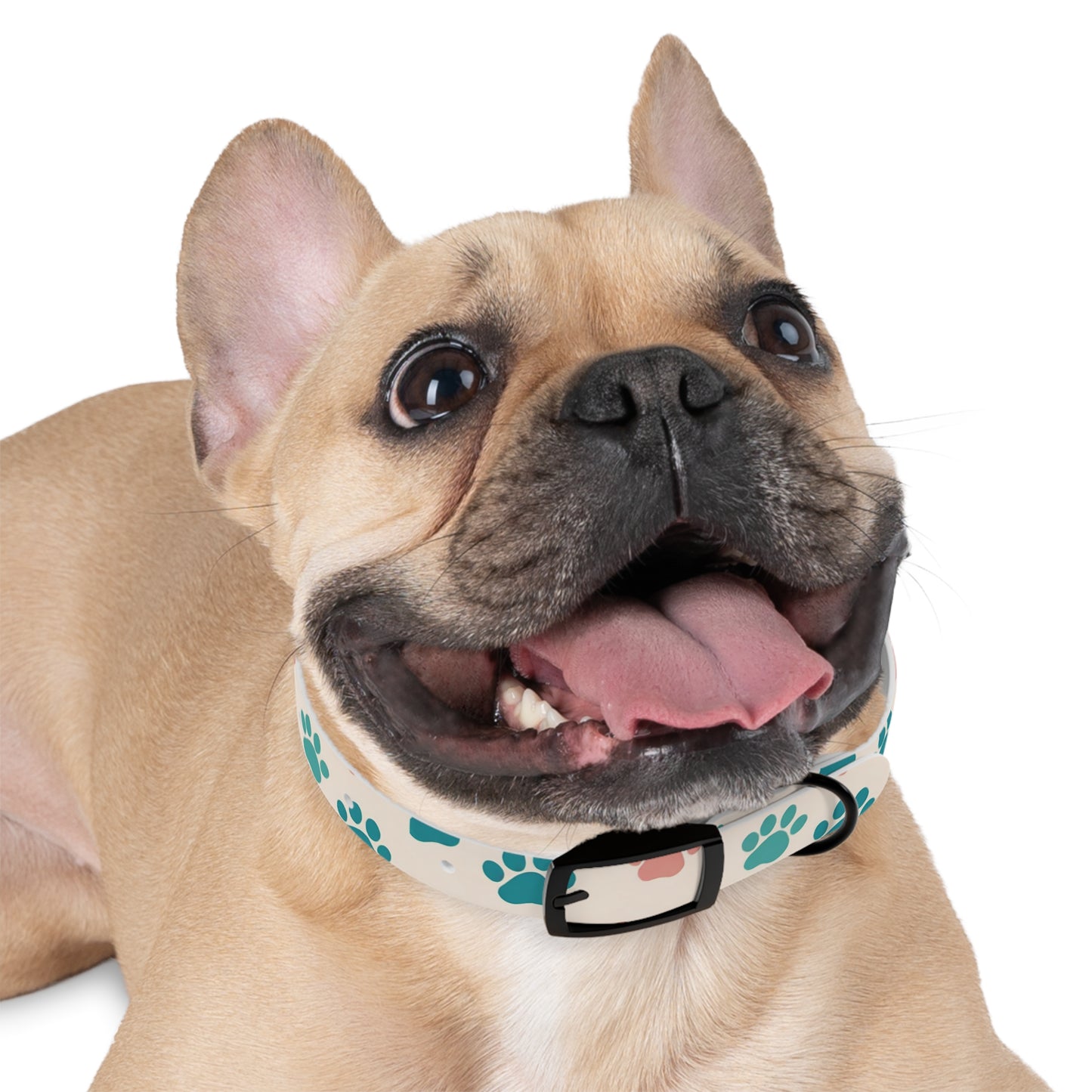 Colorful Paw Print Dog Collar - Stylish Pet Accessory for Dog Lovers