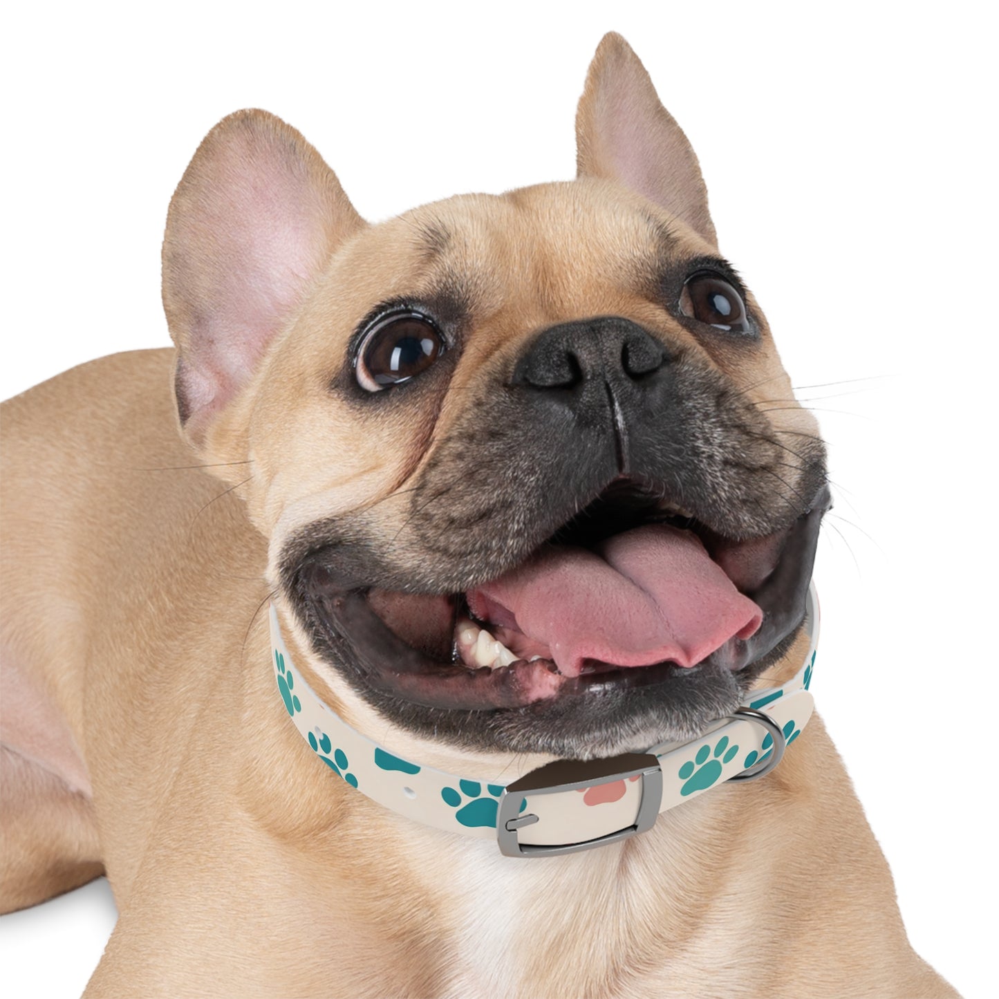 Colorful Paw Print Dog Collar - Stylish Pet Accessory for Dog Lovers