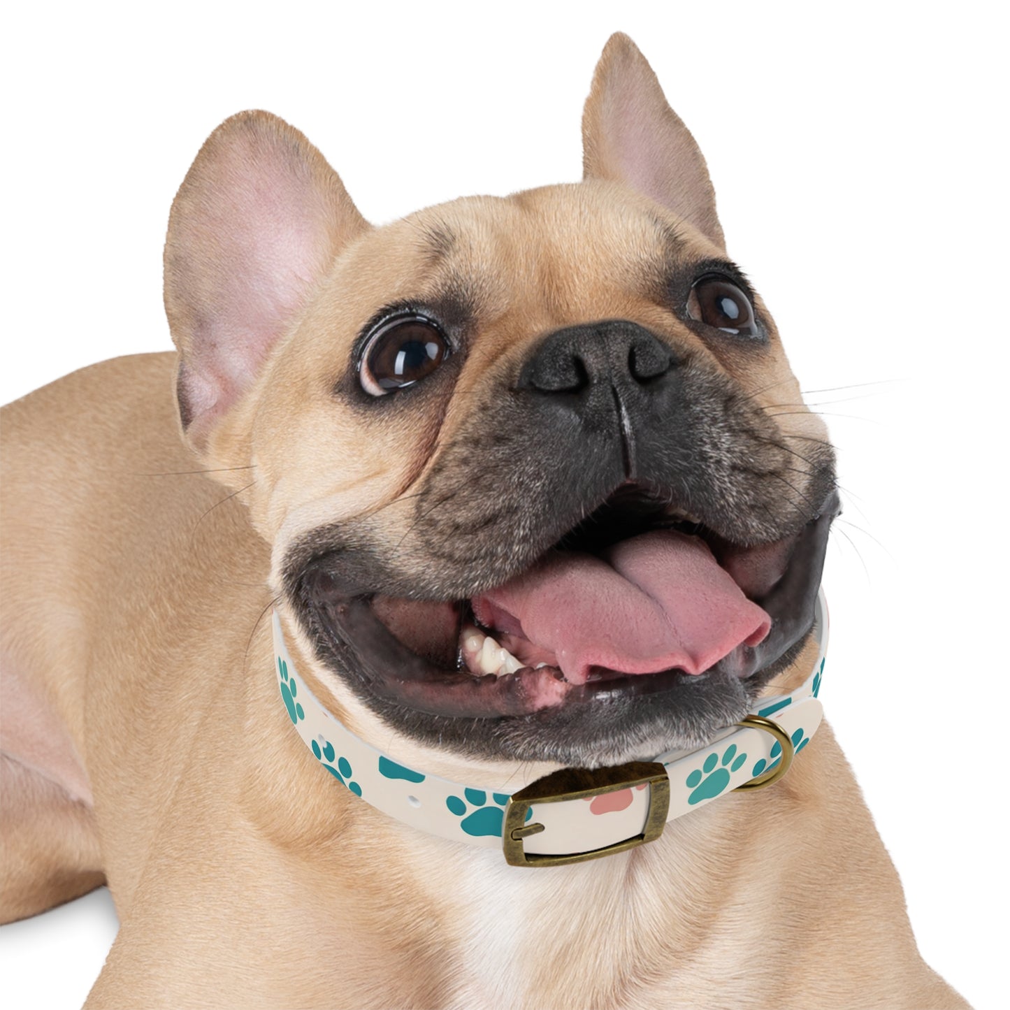 Colorful Paw Print Dog Collar - Stylish Pet Accessory for Dog Lovers