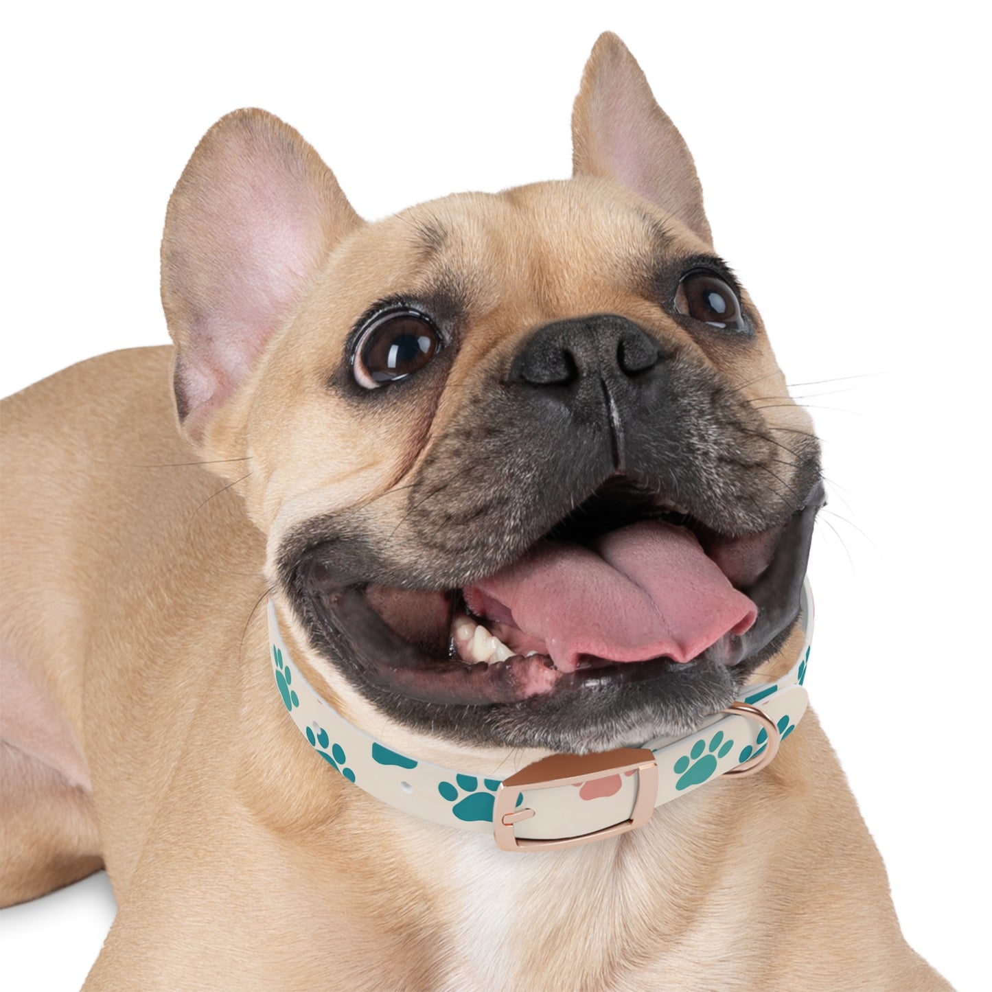 Colorful Paw Print Dog Collar - Stylish Pet Accessory for Dog Lovers